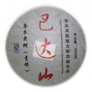 巴达山乔木老树青饼