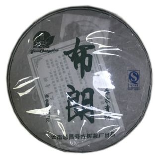 布朗乔木青饼（2015年）