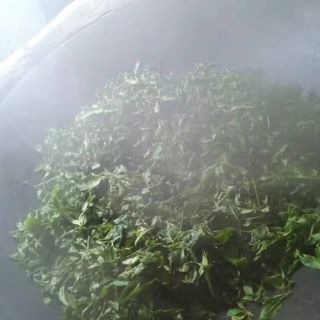 普洱茶杀青