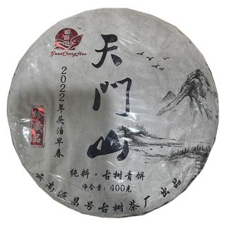 天门山头泊早春古树（2022年）